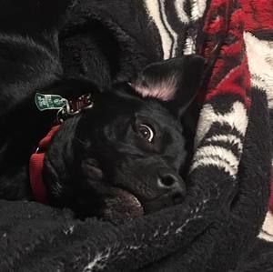 Meet your Posher, Jacob